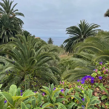 Theharmonyhousetaganana Holiday home *