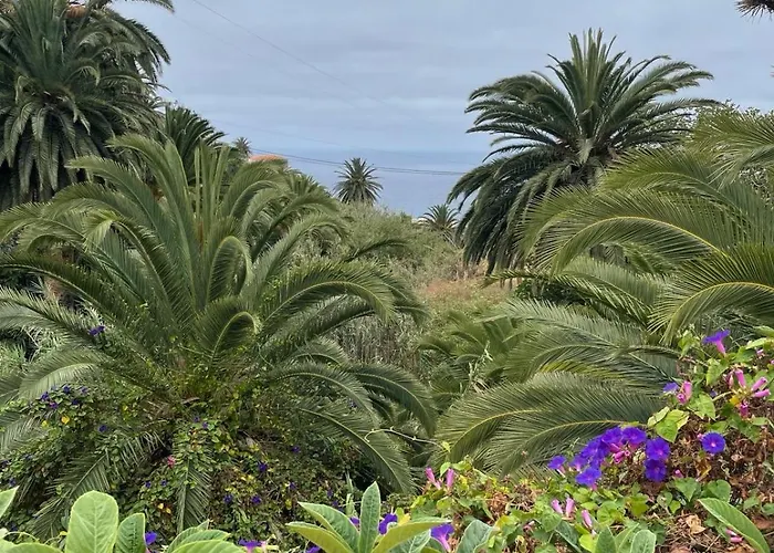 Theharmonyhousetaganana Casa vacanze *